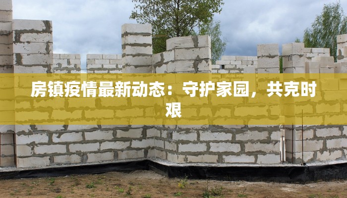 房镇疫情最新动态：守护家园，共克时艰