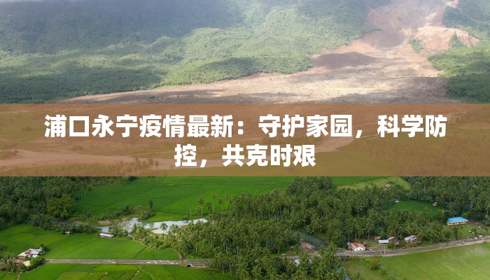 浦口永宁疫情最新：守护家园，科学防控，共克时艰