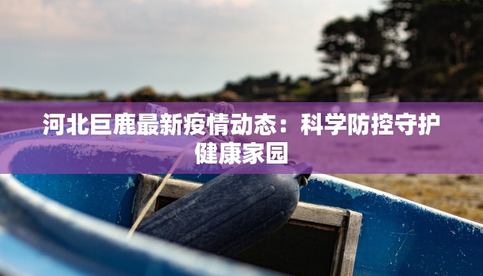 河北巨鹿最新疫情动态：科学防控守护健康家园