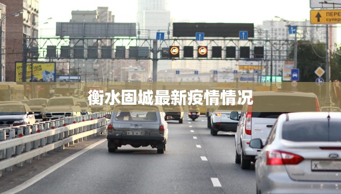 衡水固城最新疫情情况