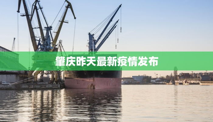 肇庆昨天最新疫情发布