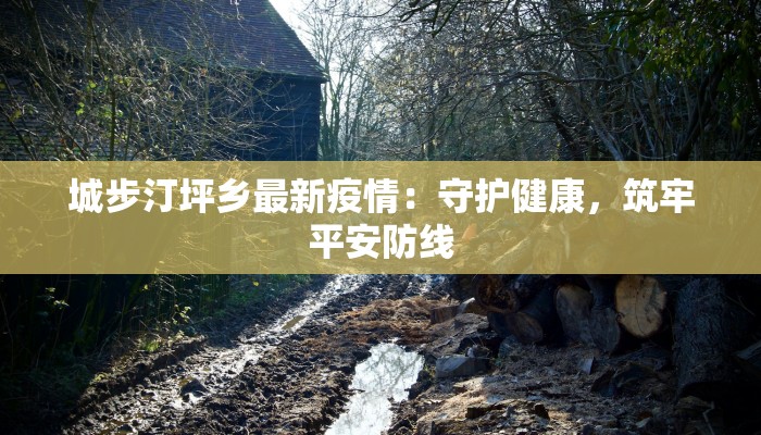城步汀坪乡最新疫情：守护健康，筑牢平安防线