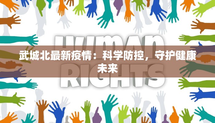 武城北最新疫情：科学防控，守护健康未来