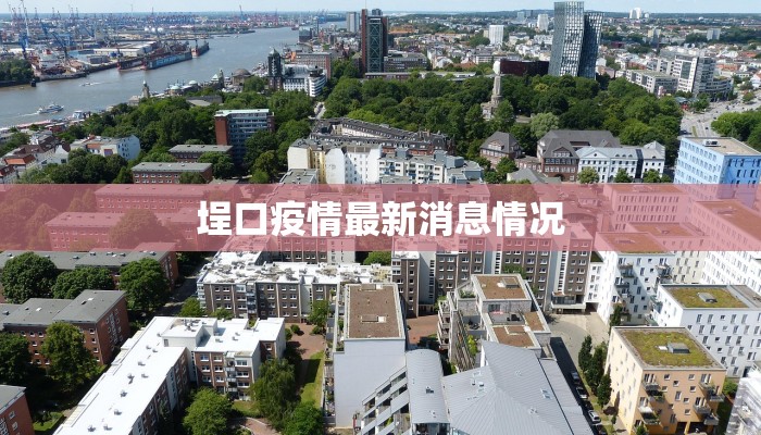 埕口疫情最新消息情况