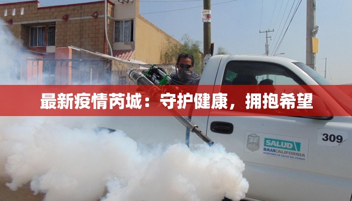 最新疫情芮城：守护健康，拥抱希望