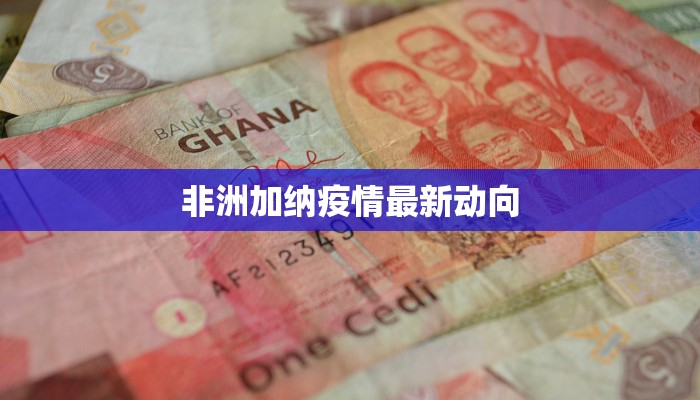 非洲加纳疫情最新动向