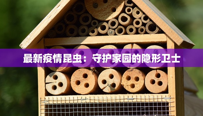 最新疫情昆虫：守护家园的隐形卫士