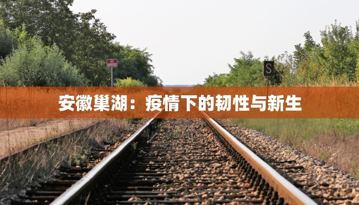 安徽巢湖：疫情下的韧性与新生