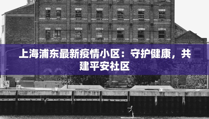 上海浦东最新疫情小区：守护健康，共建平安社区