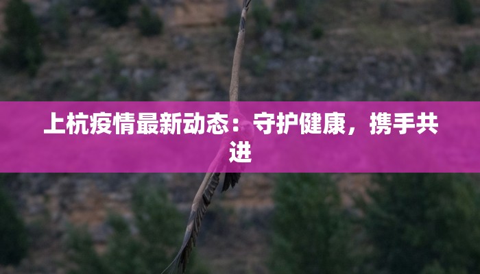 上杭疫情最新动态：守护健康，携手共进