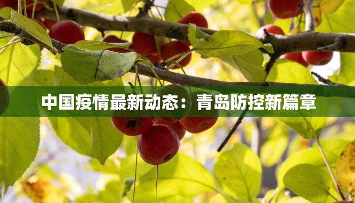 中国疫情最新动态：青岛防控新篇章