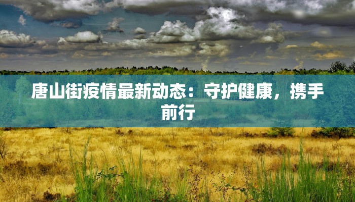 唐山街疫情最新动态：守护健康，携手前行