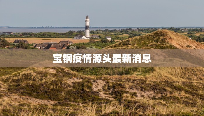 宝钢疫情源头最新消息