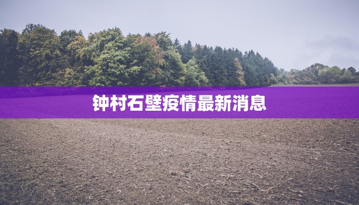 钟村石壁疫情最新消息
