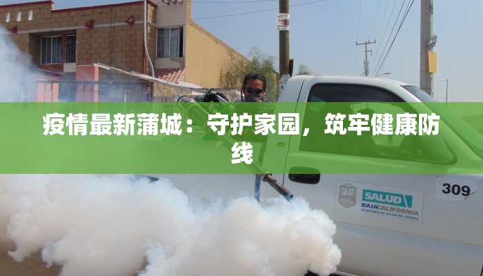 疫情最新蒲城：守护家园，筑牢健康防线