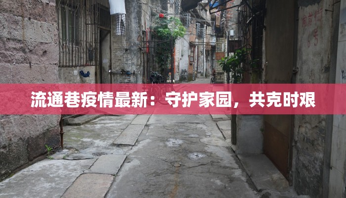 流通巷疫情最新：守护家园，共克时艰