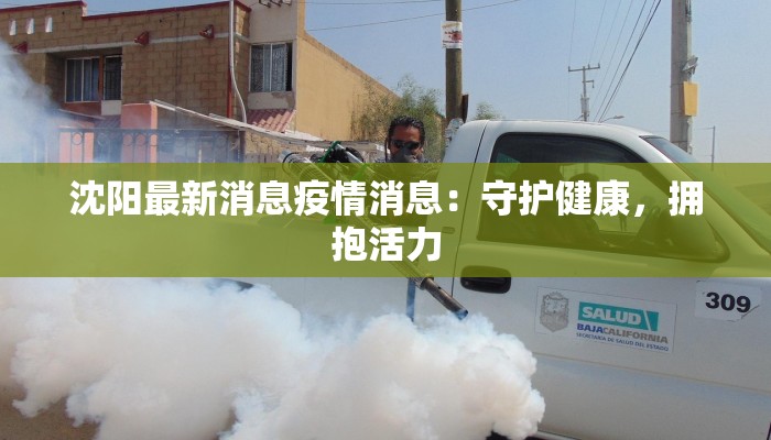 沈阳最新消息疫情消息：守护健康，拥抱活力