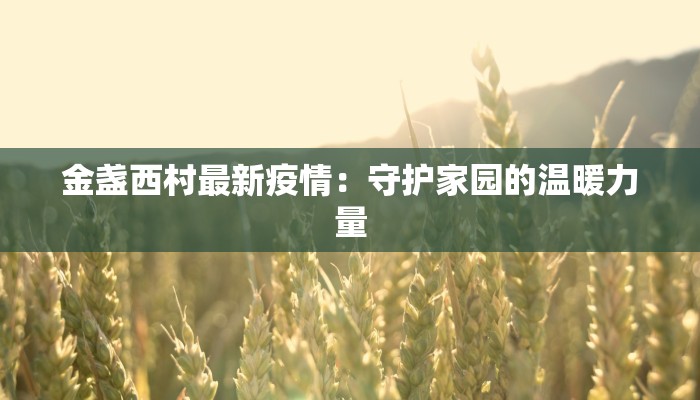 金盏西村最新疫情：守护家园的温暖力量
