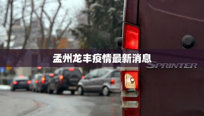 孟州龙丰疫情最新消息