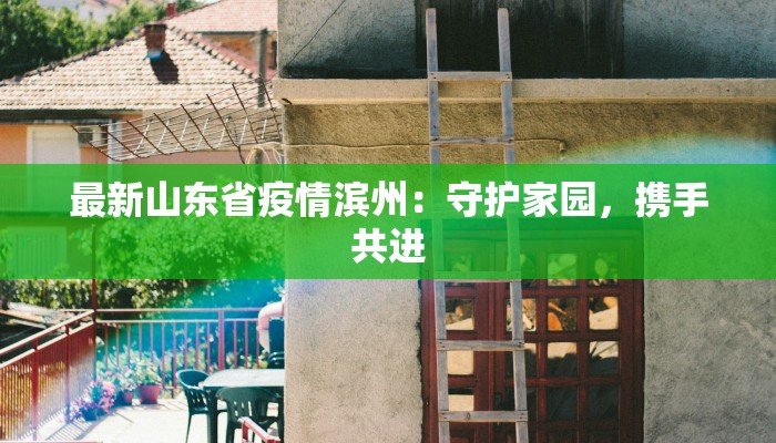 最新山东省疫情滨州：守护家园，携手共进