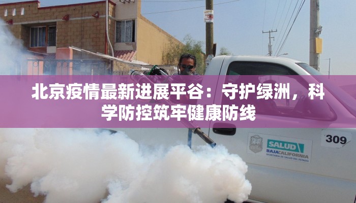 北京疫情最新进展平谷：守护绿洲，科学防控筑牢健康防线