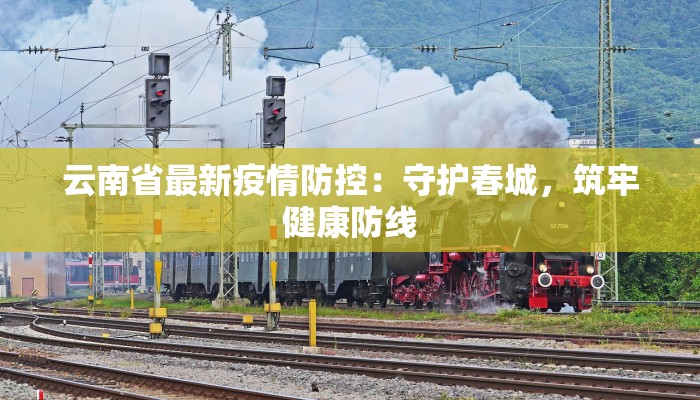 云南省最新疫情防控：守护春城，筑牢健康防线
