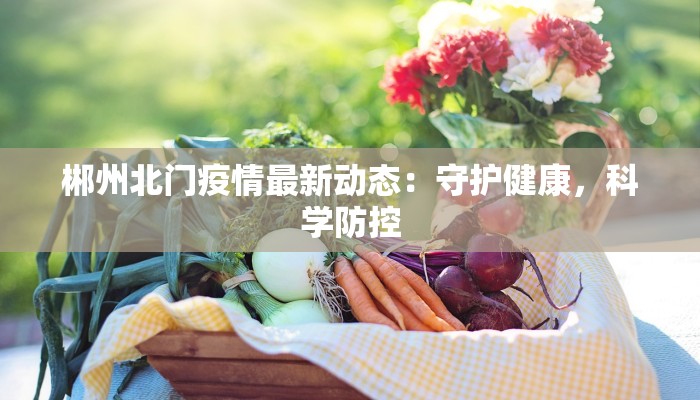 郴州北门疫情最新动态：守护健康，科学防控