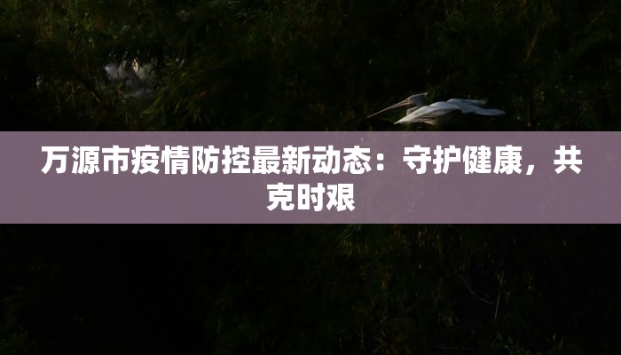 万源市疫情防控最新动态：守护健康，共克时艰