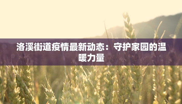 洛溪街道疫情最新动态：守护家园的温暖力量