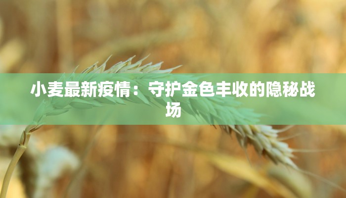 小麦最新疫情：守护金色丰收的隐秘战场