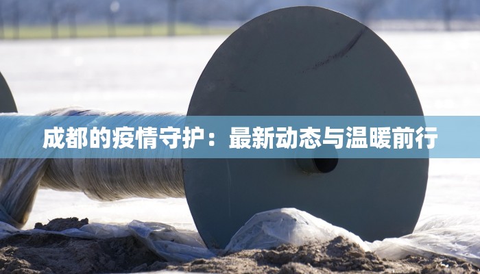 成都的疫情守护：最新动态与温暖前行