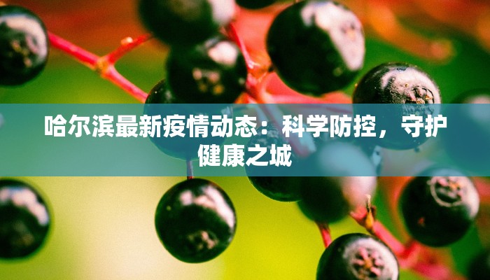 哈尔滨最新疫情动态：科学防控，守护健康之城