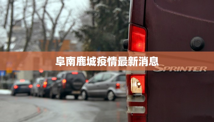 阜南鹿城疫情最新消息