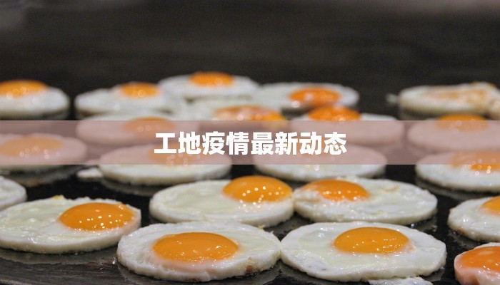 工地疫情最新动态
