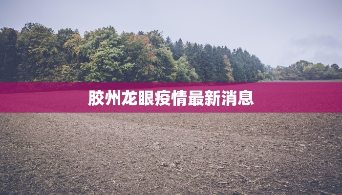 胶州龙眼疫情最新消息