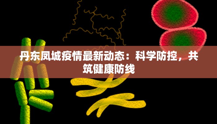揭阳揭城最新疫情通报
