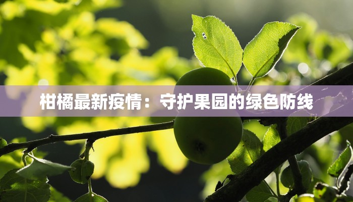 柑橘最新疫情：守护果园的绿色防线