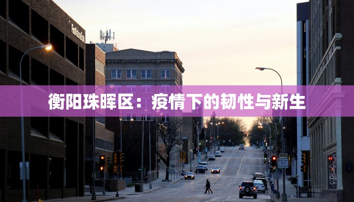 衡阳珠晖区：疫情下的韧性与新生