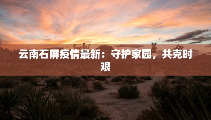 云南石屏疫情最新：守护家园，共克时艰