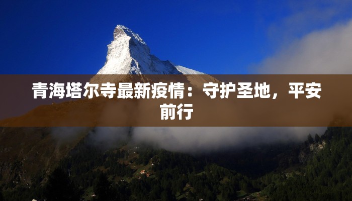 海南大海最新疫情：守护蓝色天堂的健康之旅