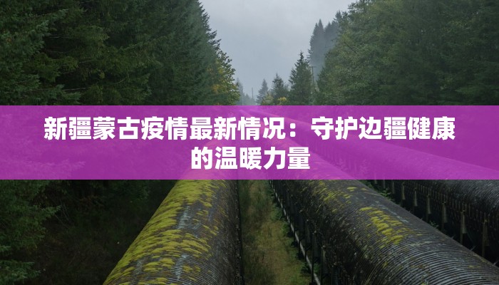 新疆蒙古疫情最新情况：守护边疆健康的温暖力量