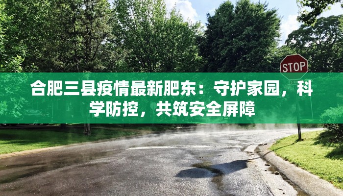 合肥三县疫情最新肥东：守护家园，科学防控，共筑安全屏障