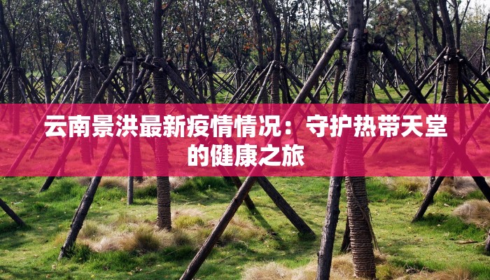 云南景洪最新疫情情况：守护热带天堂的健康之旅