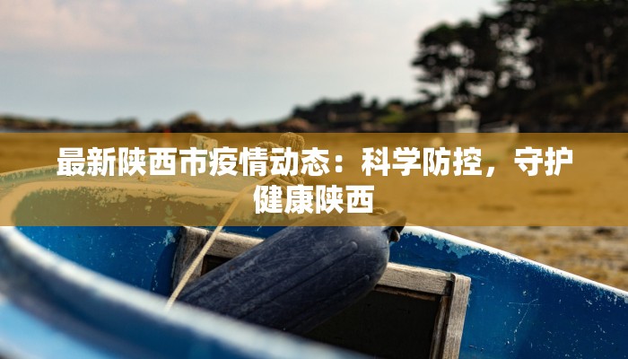 最新陕西市疫情动态：科学防控，守护健康陕西