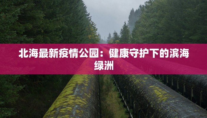 北海最新疫情公园：健康守护下的滨海绿洲