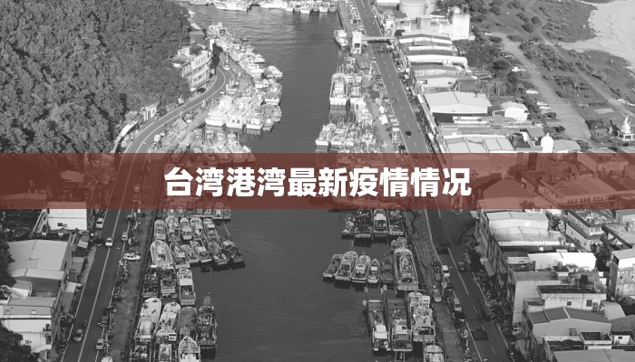 台湾港湾最新疫情情况