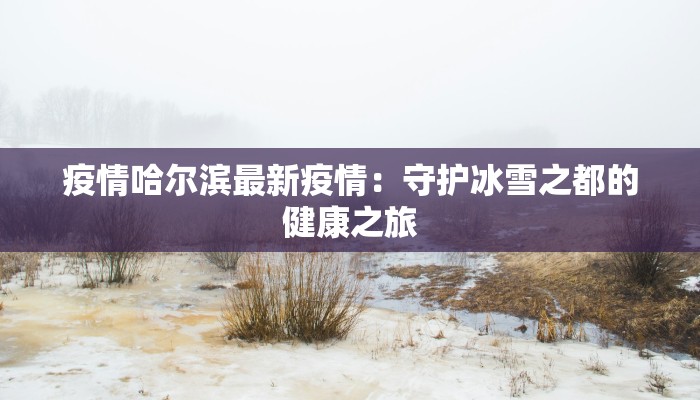 疫情哈尔滨最新疫情：守护冰雪之都的健康之旅