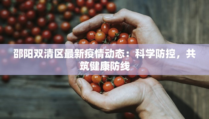 王桥最新疫情消息