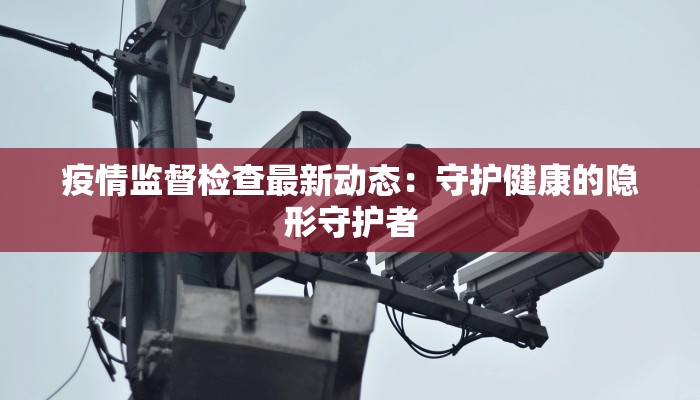 疫情监督检查最新动态：守护健康的隐形守护者