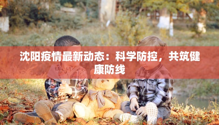 沈阳疫情最新动态：科学防控，共筑健康防线